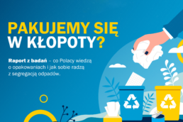 pakujemy się w kłopoty raport interzero