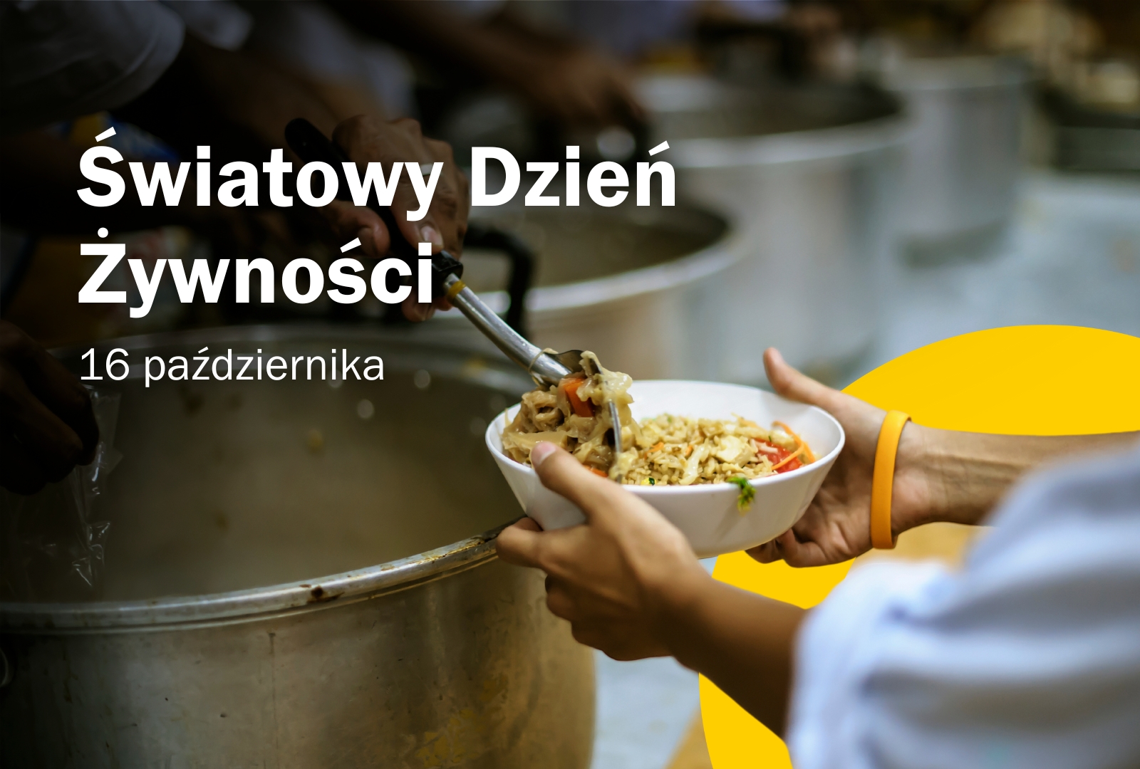 światowy dzień żywności interzero