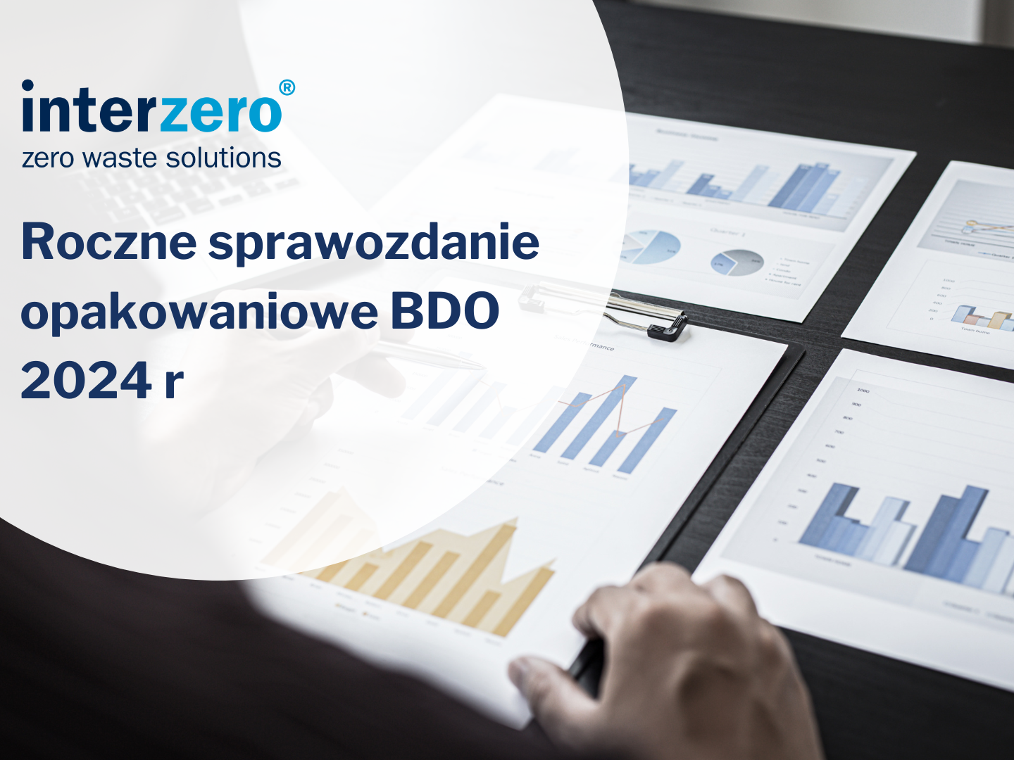 sprawozdanie bdo 2024