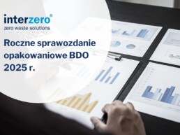 roczne sprawozdanie bdo