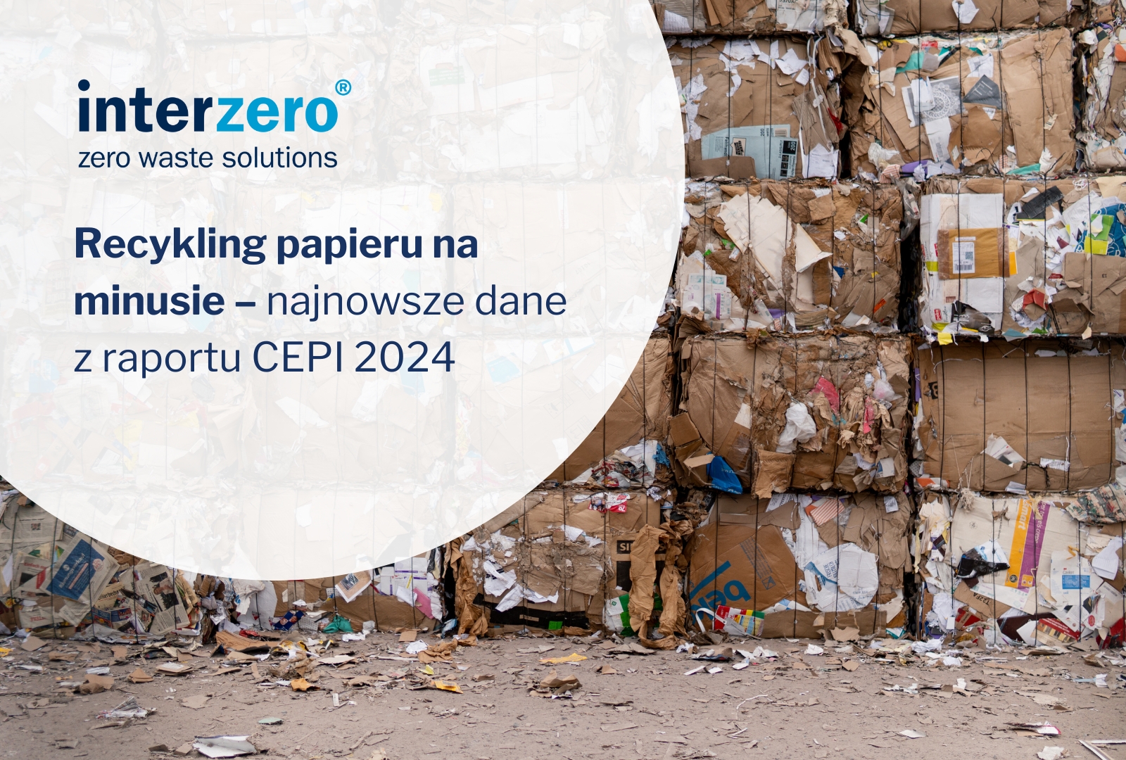 CEPI opublikowała kompletne dane o rynku papieru i tektury w 2024 r. Jak branża papiernicza radzi sobie z zieloną transformacją?