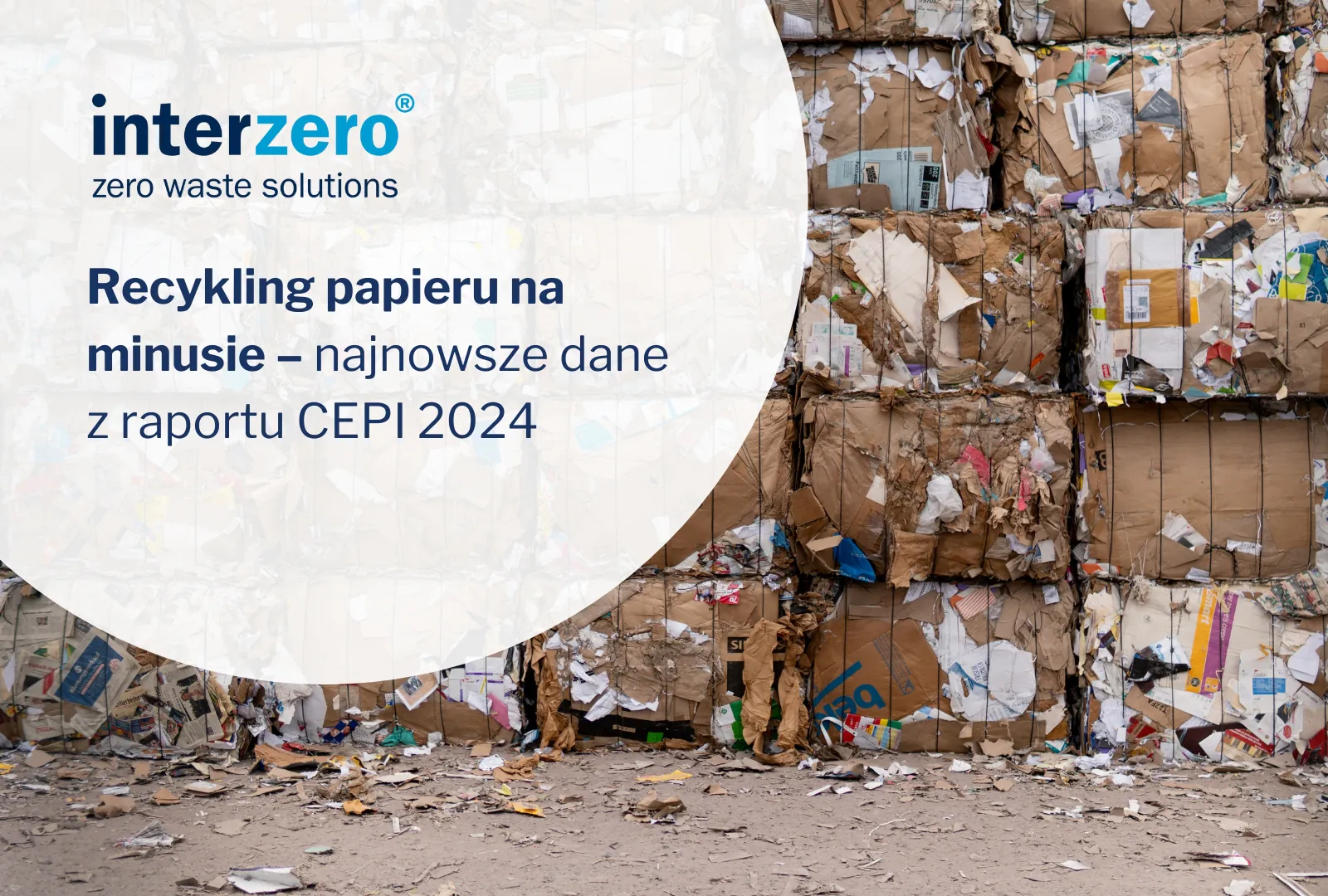 CEPI opublikowała kompletne dane o rynku papieru i tektury w 2024 r. Jak branża papiernicza radzi sobie z zieloną transformacją?