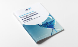 CYRKULARNE OPAKOWANIA 2030: Strategie działania w dobie niedoboru recyklatu