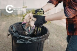 analiza czarnego worka