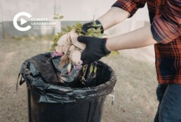 analiza czarnego worka